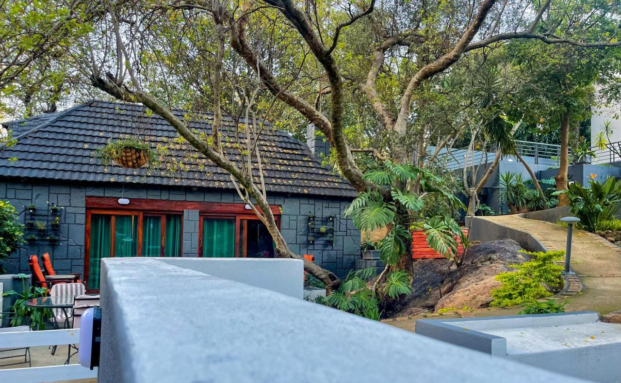 Amoris Guest House-Randburg Johannesburg Ngoại thất bức ảnh